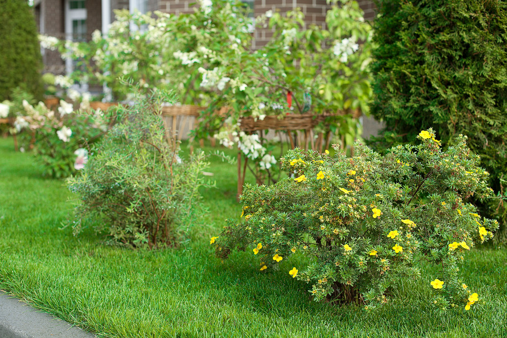 Вавиловец 1