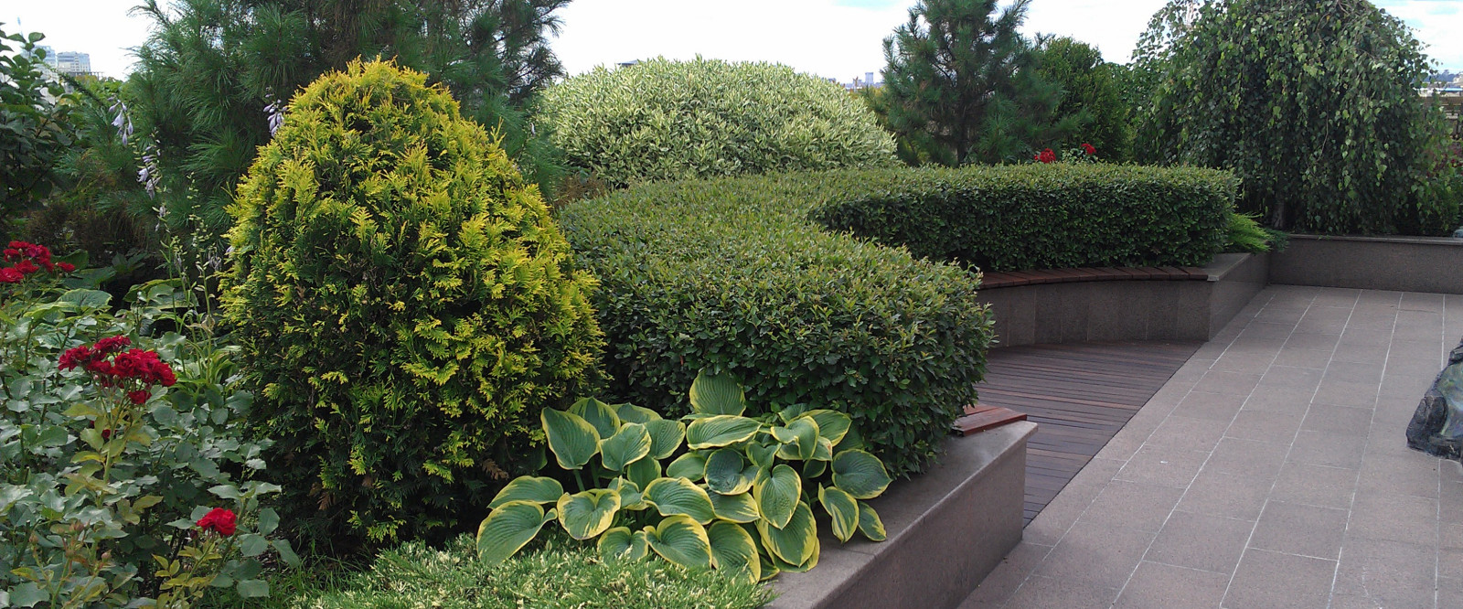 Большой сад на крыше