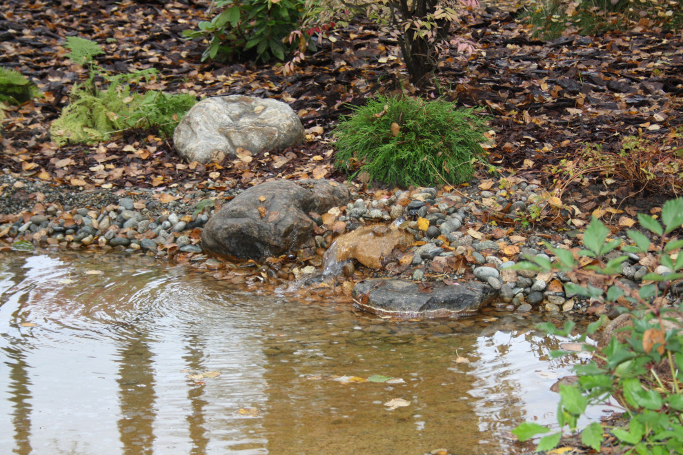 Обложка проекта: Новое Токсово 2