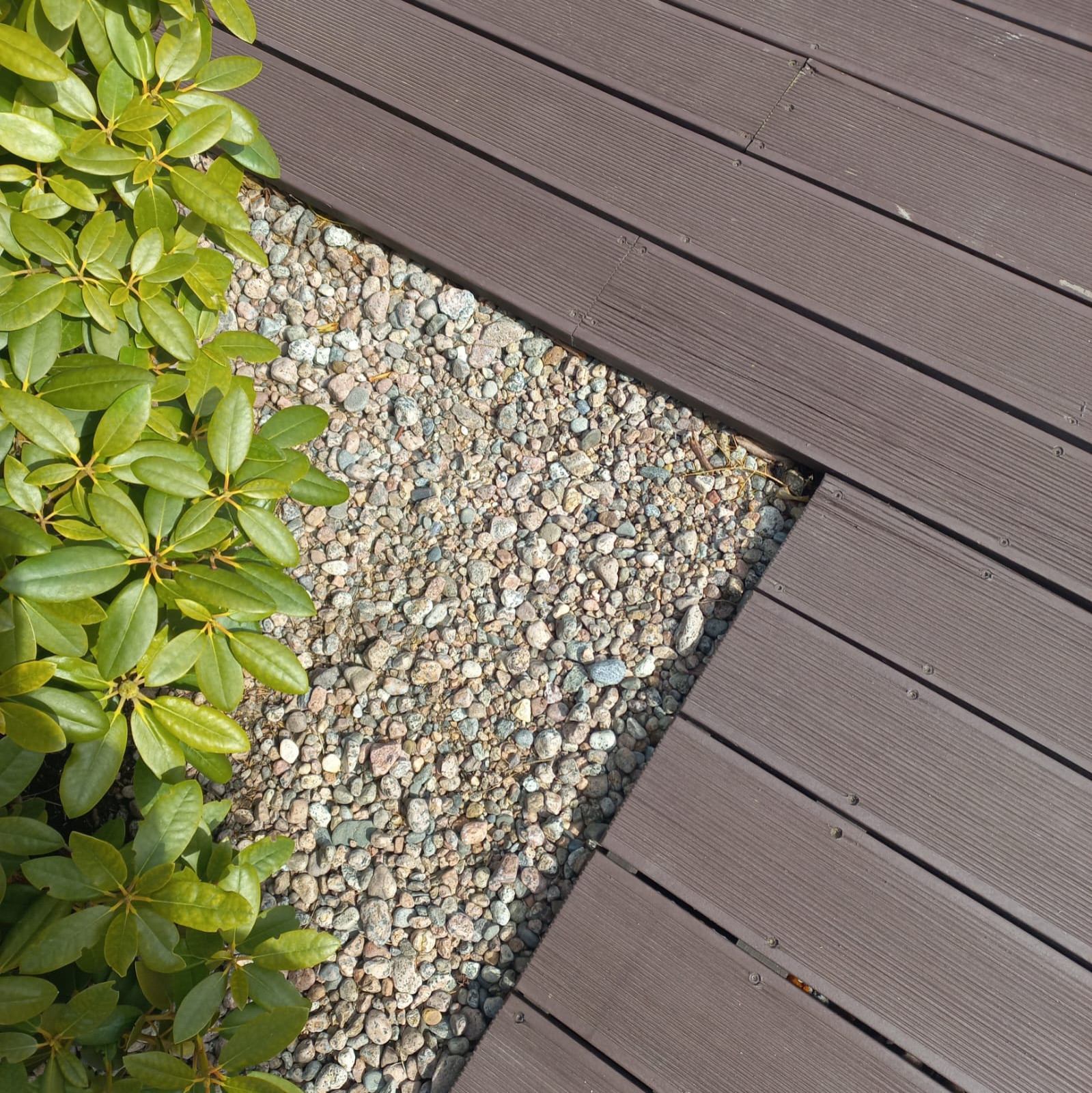 Обложка проекта: Балтийская Ривьера