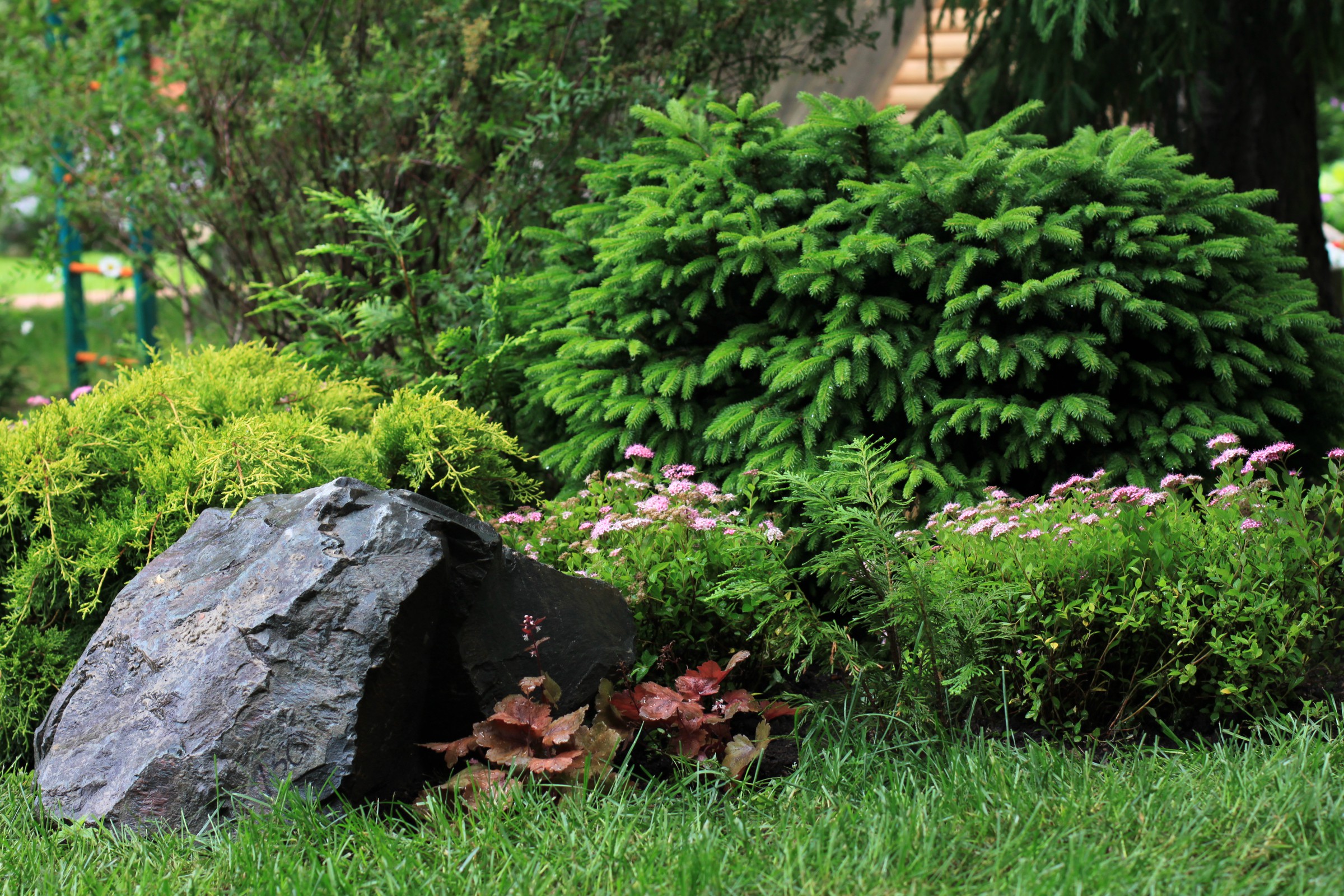 Теневой сад в Новогорске.