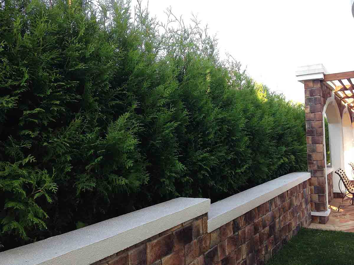 Княжье озеро