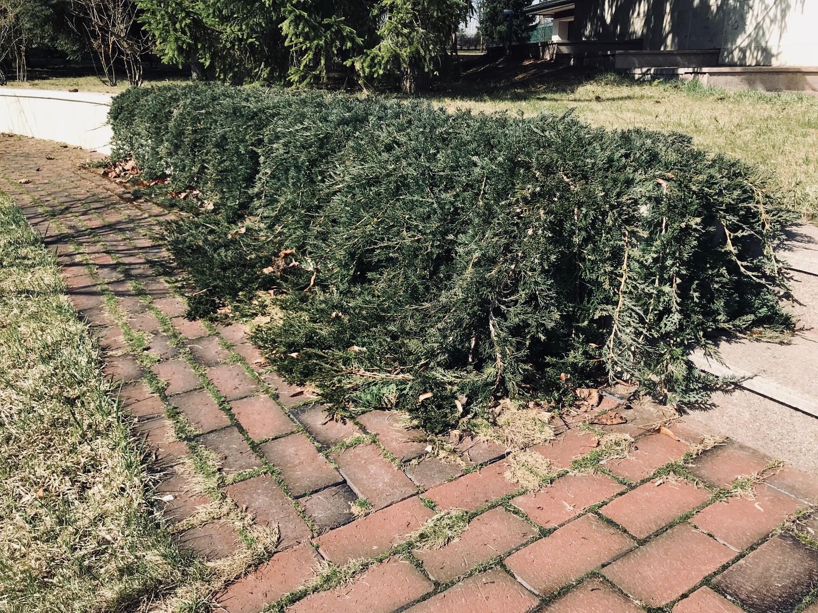 Частный парк Московская область