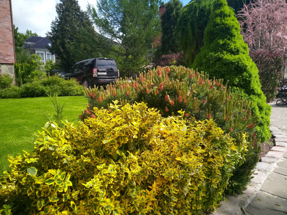 Уход за растениями