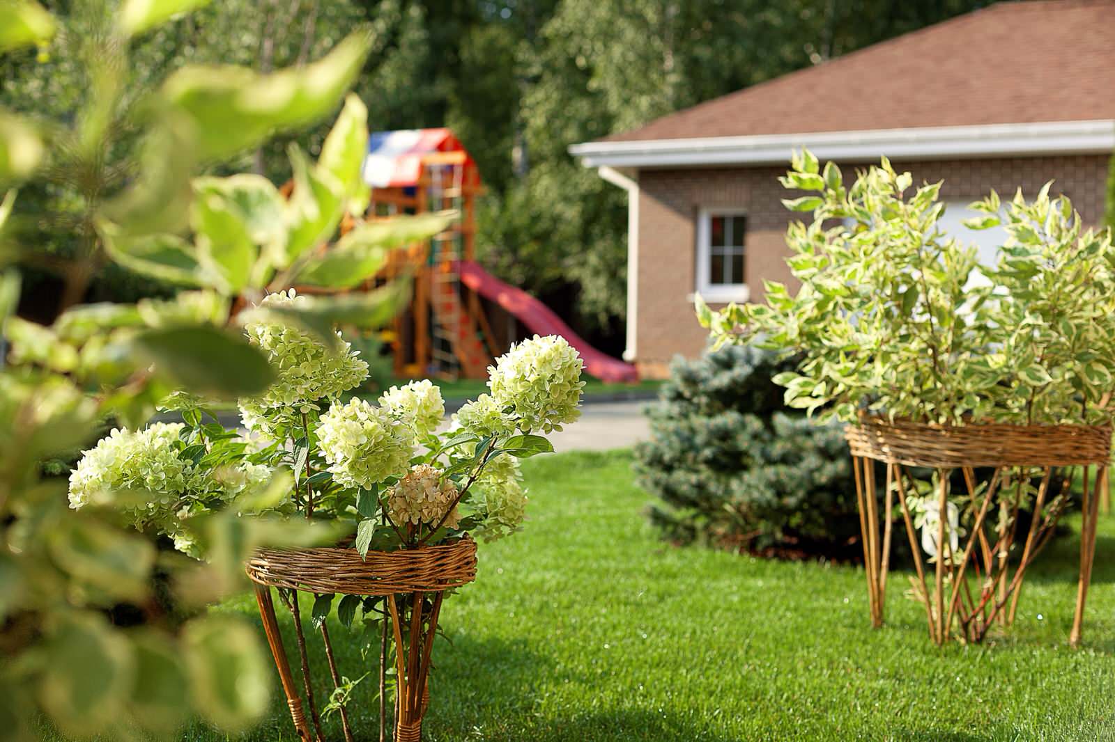 Вавиловец 1