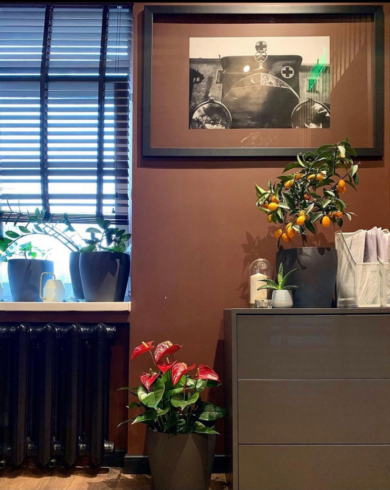 Обложка проекта: Дизайн-проект кабинета руководителя Скорой помощи