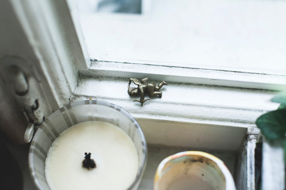 В гостях: Каждый желает знать, где сидит фазан в московской квартире