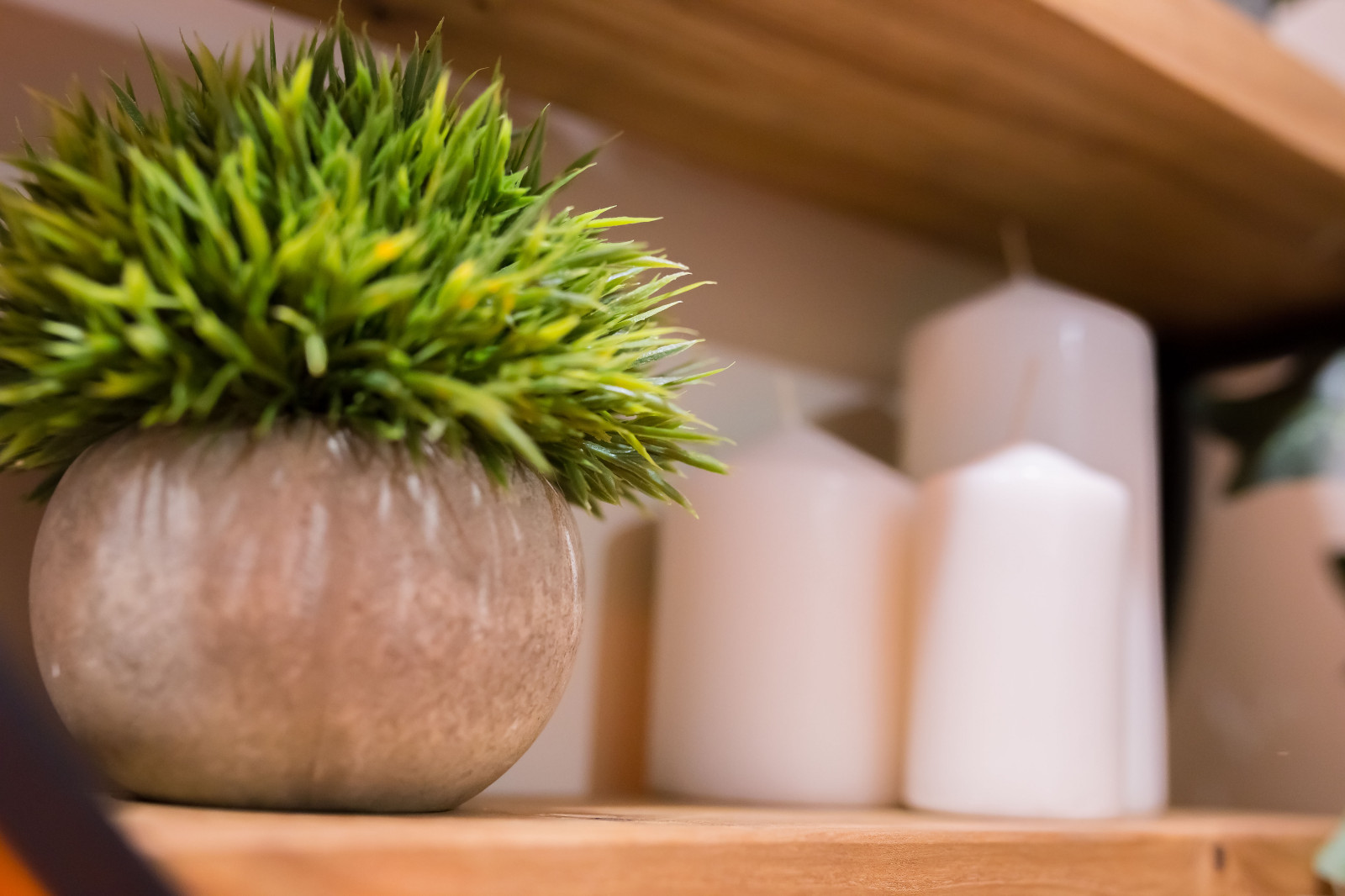 Выставка S.Build