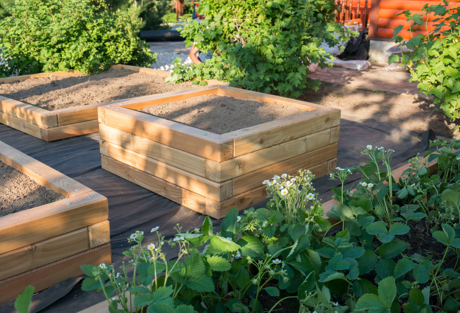 Грядки из лиственницы