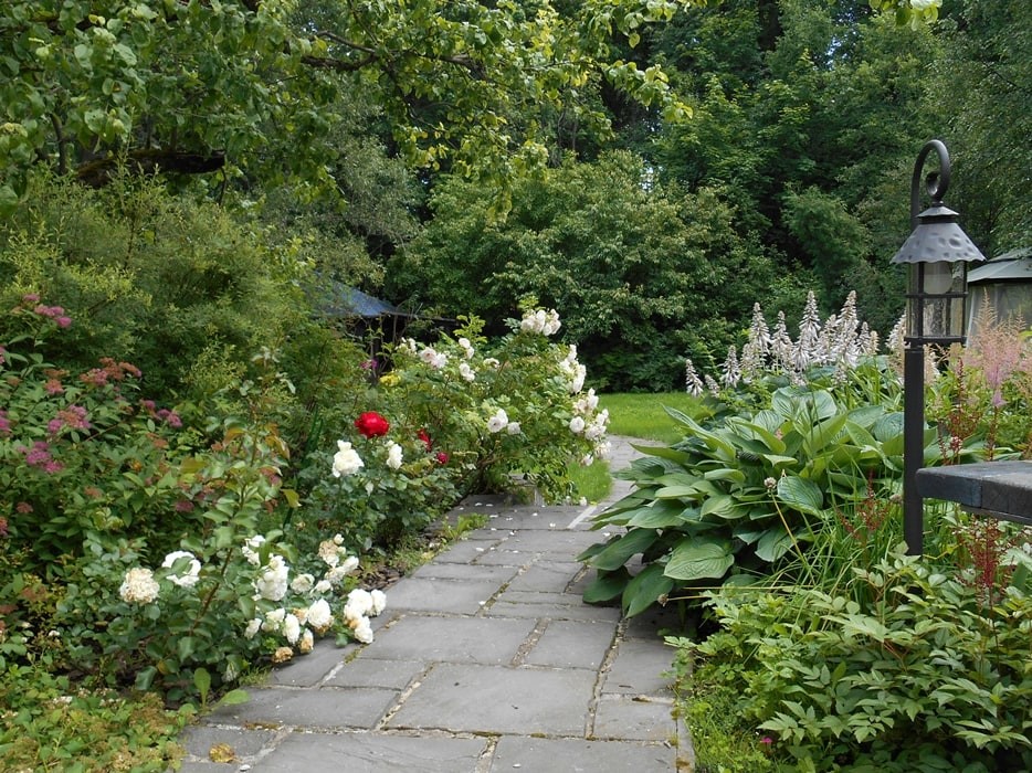 Минское шоссе. 22 сотки. Реконструкция сада.