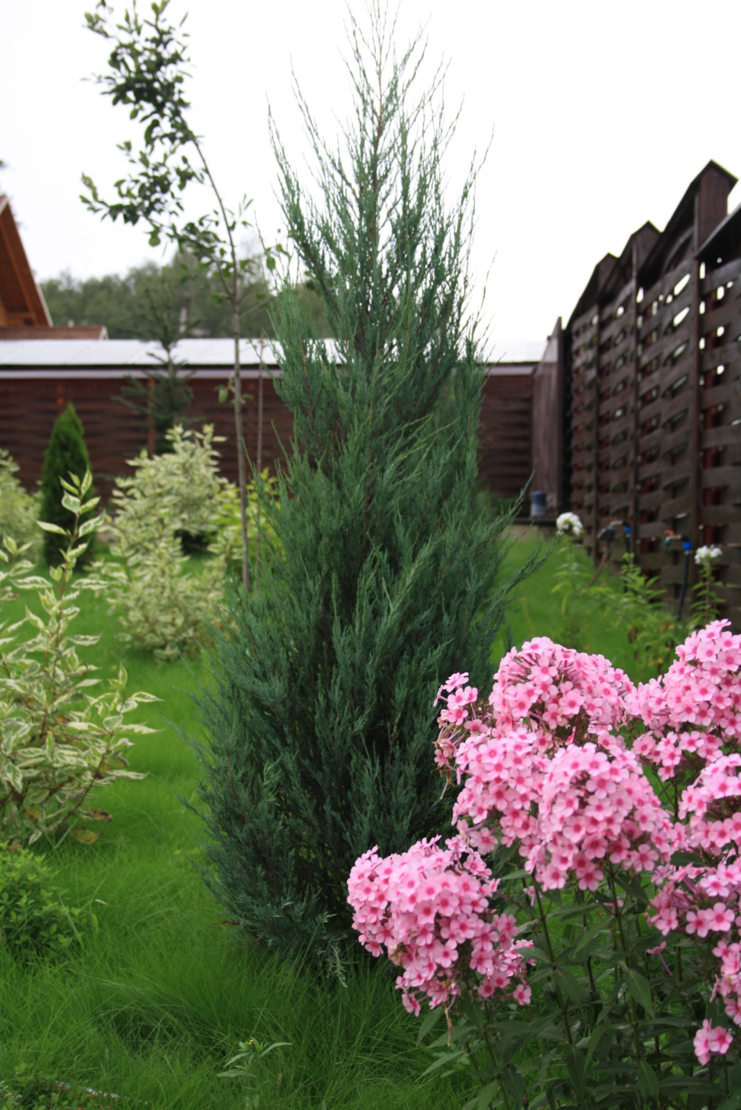 Истринские дачи