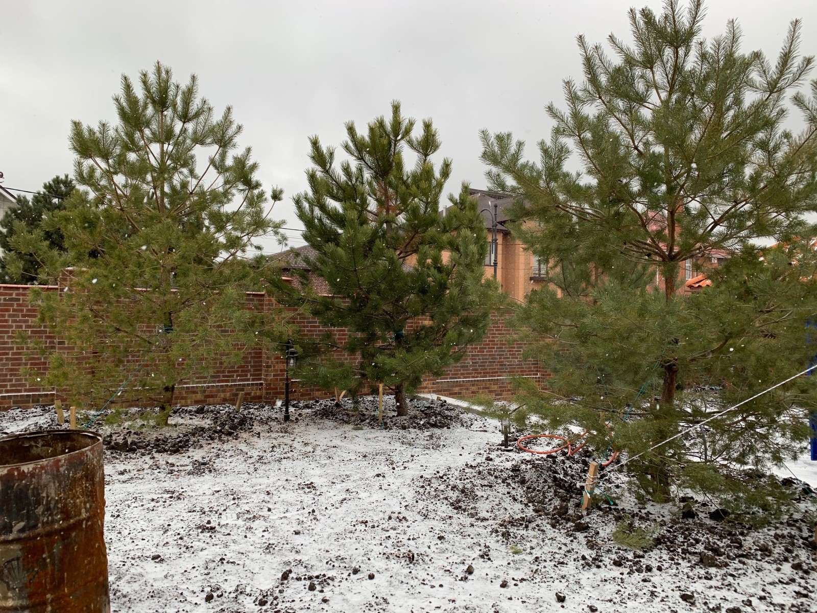 Ландшафт участка г. Ростов-на-Дону