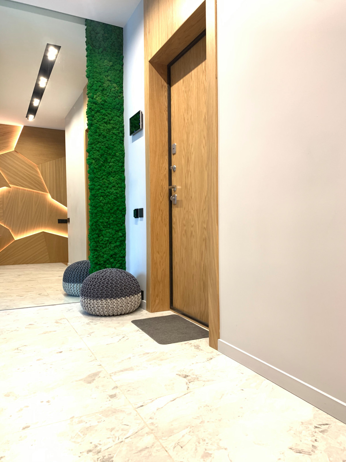 Обложка проекта: Вертикальное озеленение мхом