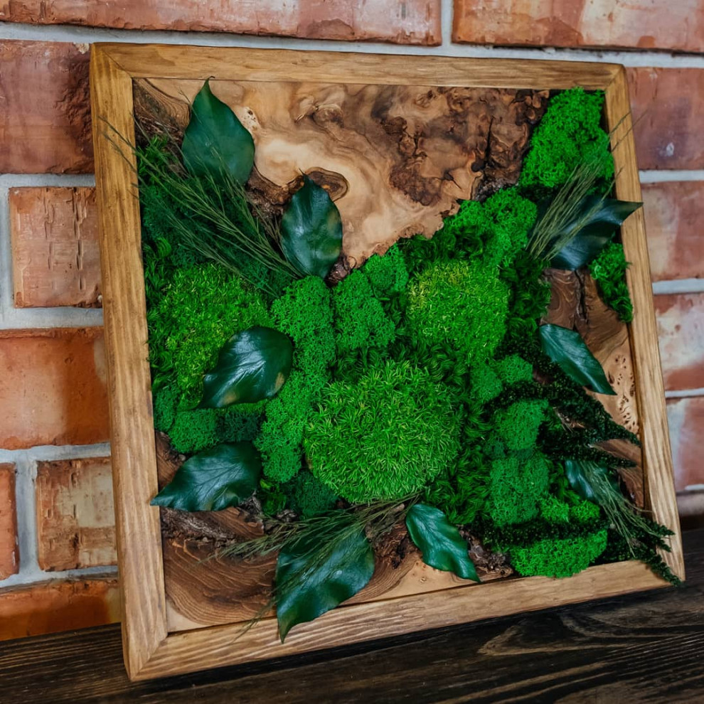 Обложка проекта: Фито-картины