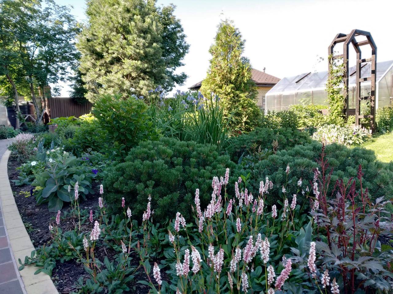 Сад в розовой дымке