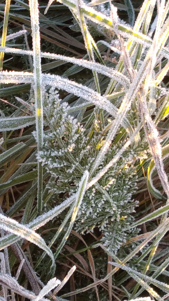 Фотокартина