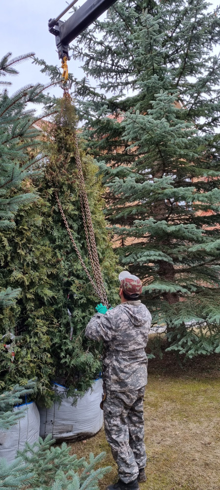 В работе 2022 и старше