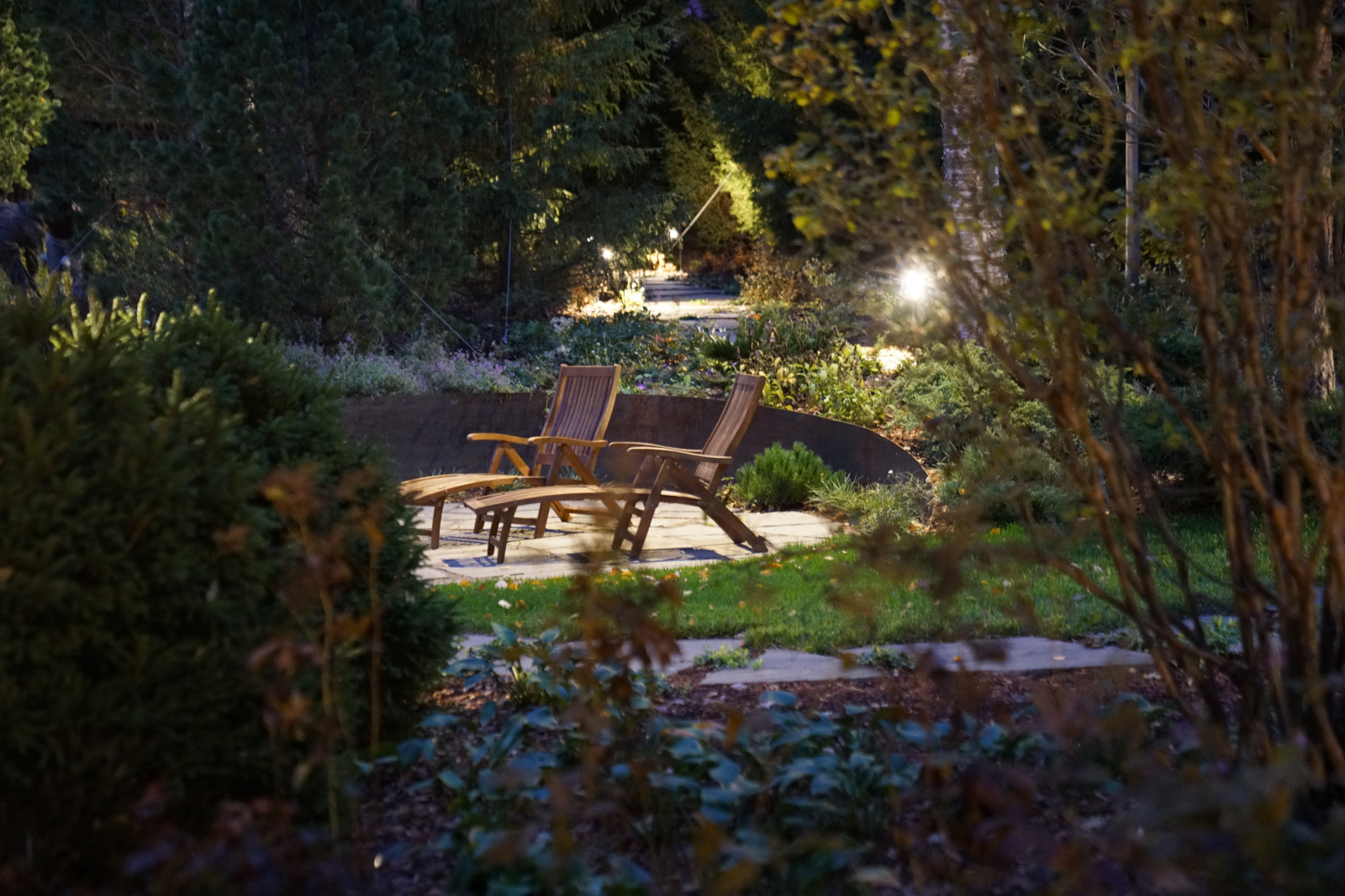 Круговорот  цвета. Дубровка 2021