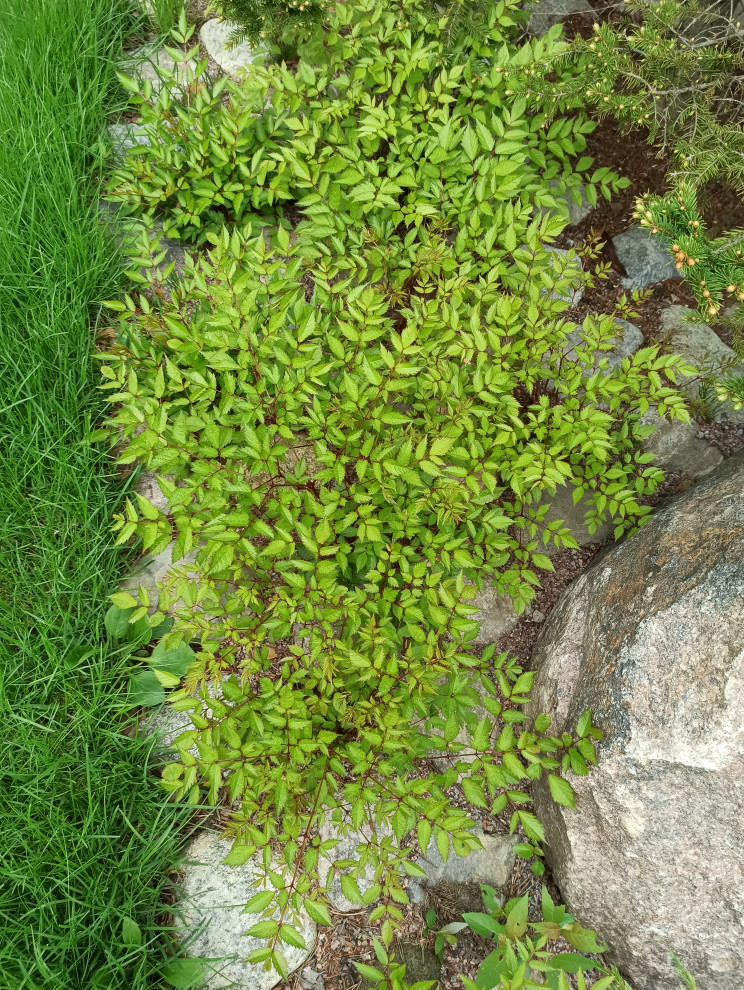 Воплощение проекта.Мельниково