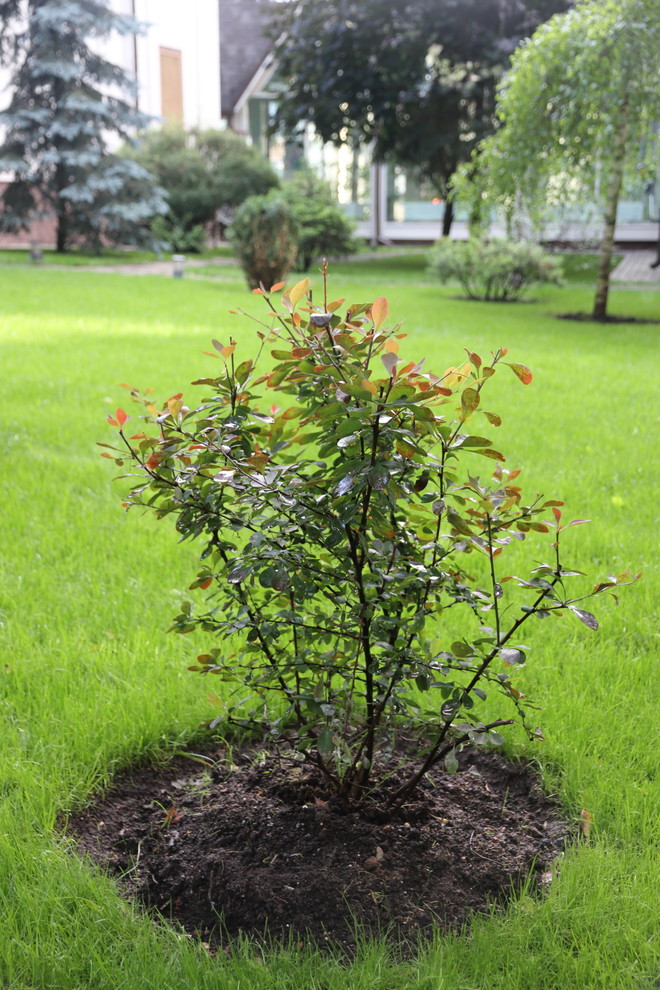 Коттеджный поселок. Руза