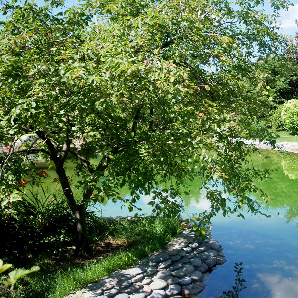 Ландшафтный сад с прудом в КП "Европа"