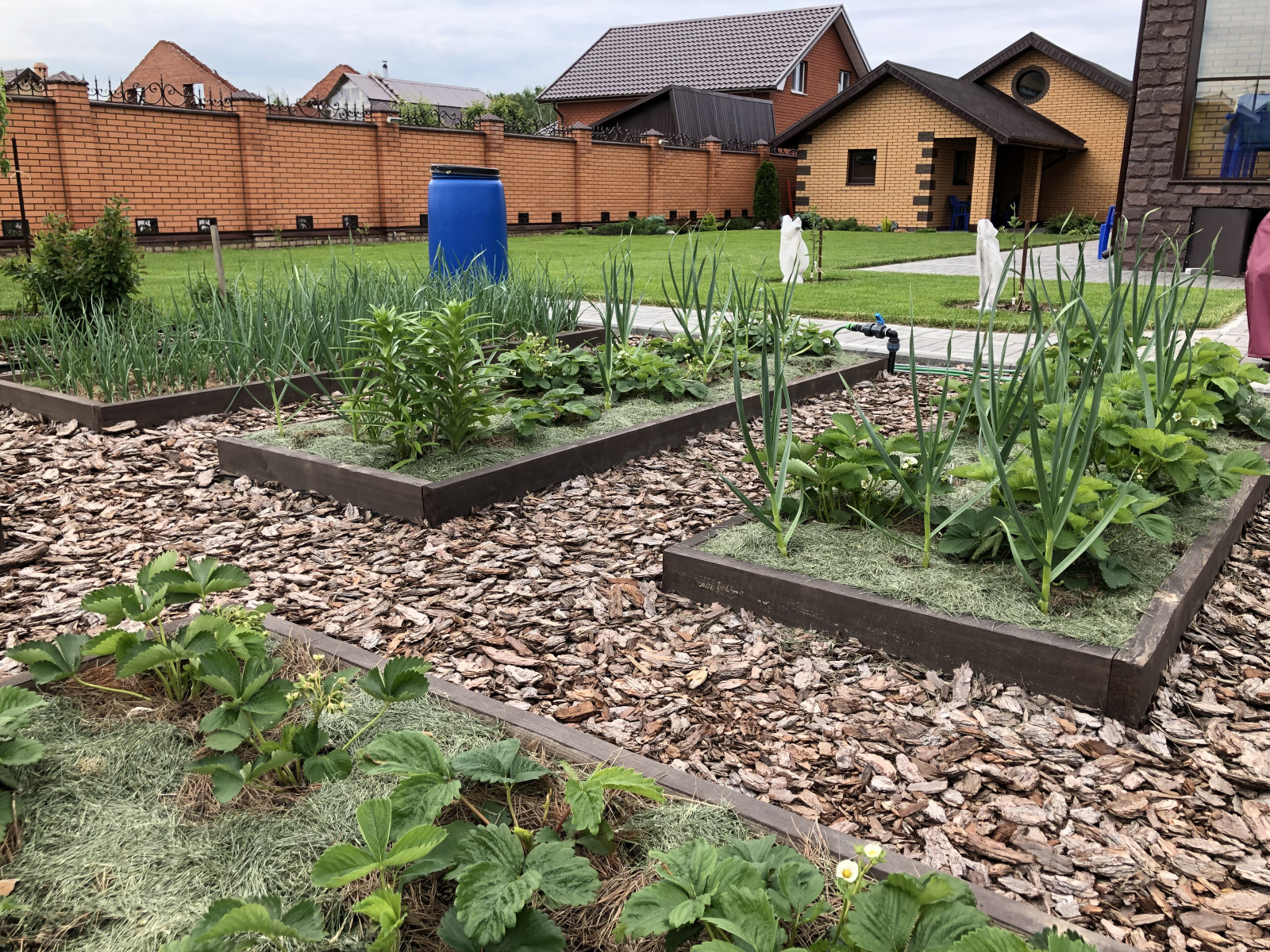 Вознесение