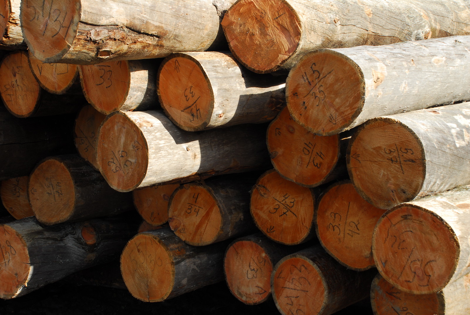 Производство и заготовка