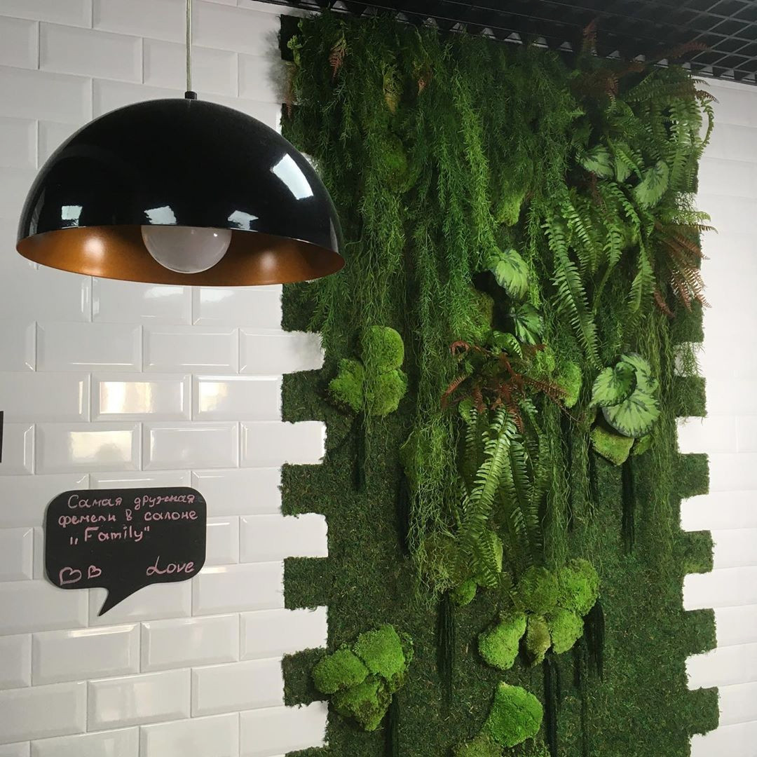 Обложка проекта: Озеленение салона красоты