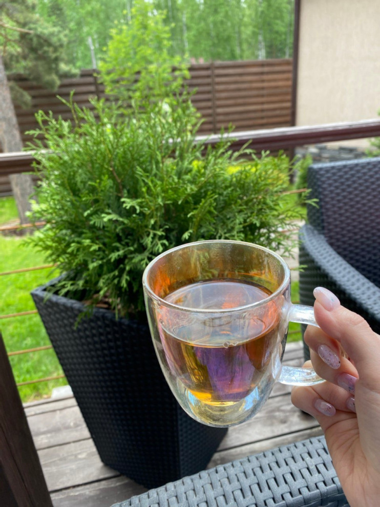 Уютная терраса и гостинная с растениями