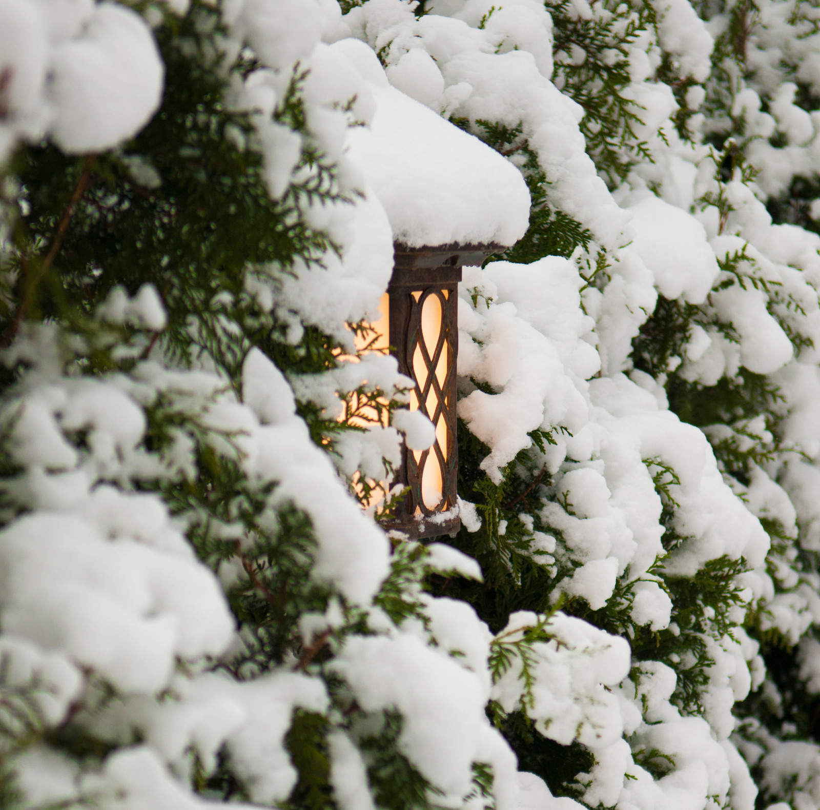 Зимний ландшафт