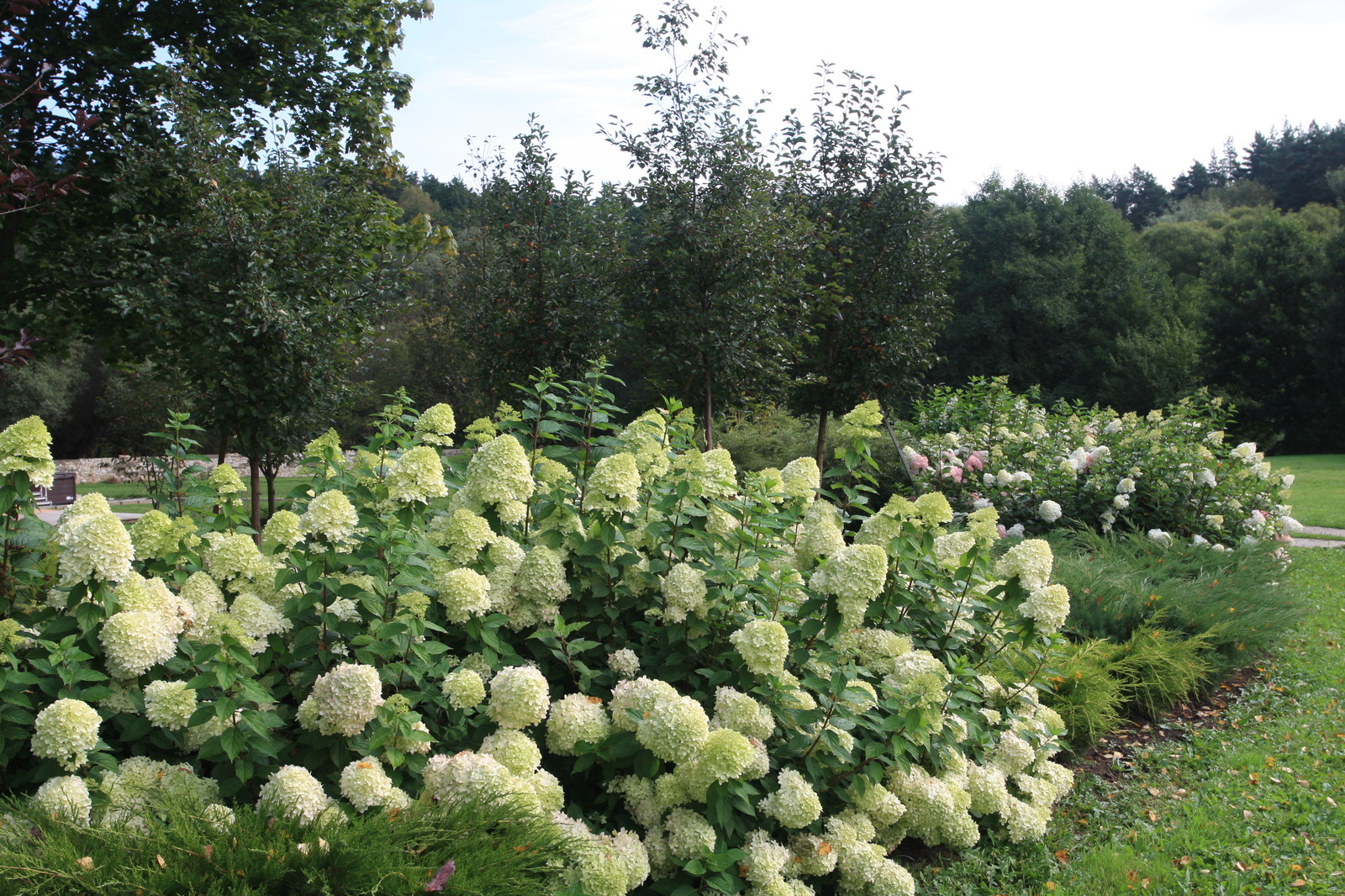 Обложка проекта: Просторы