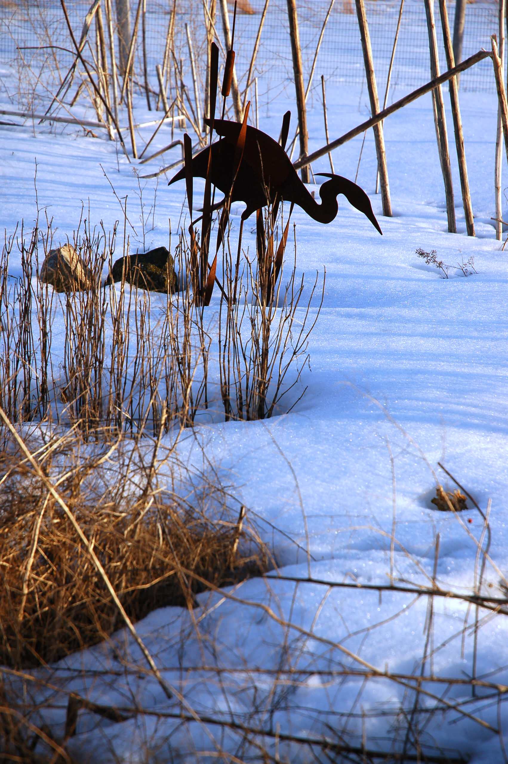 Снежный сад: Из чего складывается зимняя декоративность вашего участка