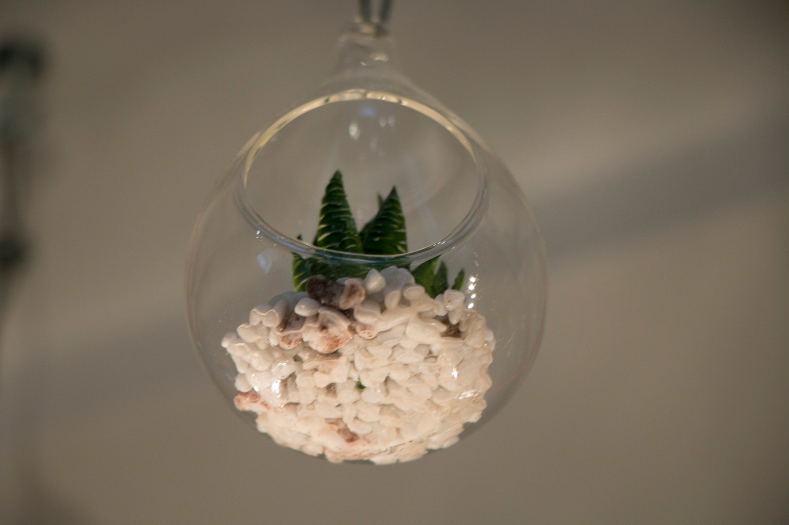 студия-лофт