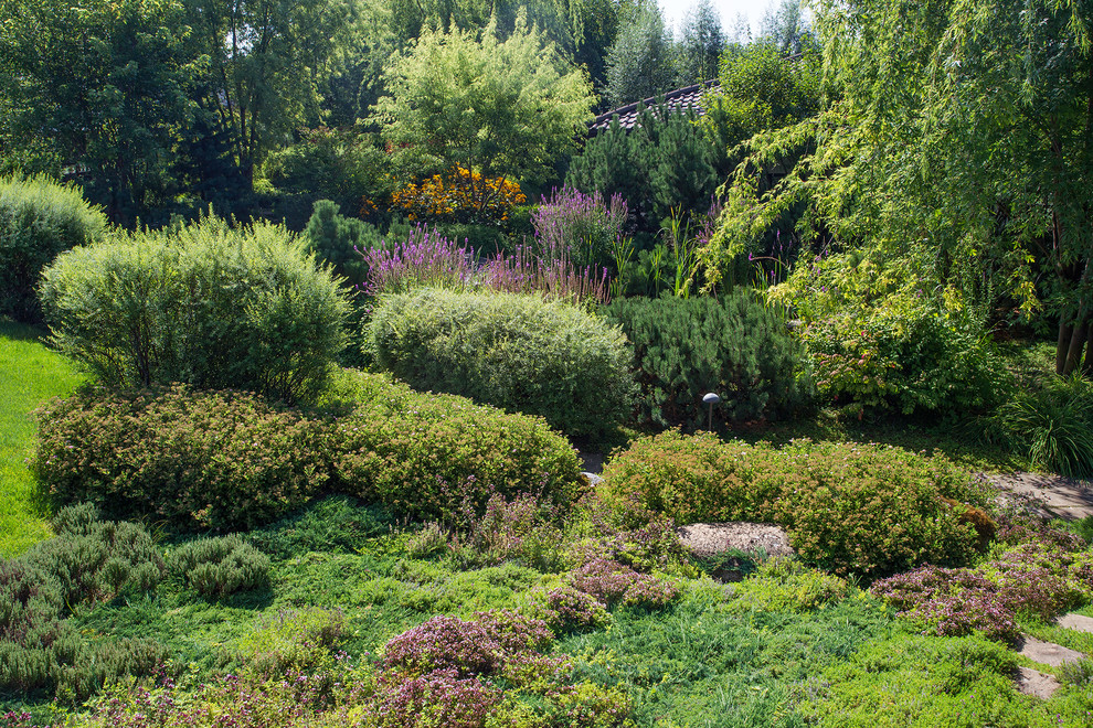 Garden of Elena Astashkina in Moscow Region