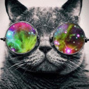 Дарья Соловьева