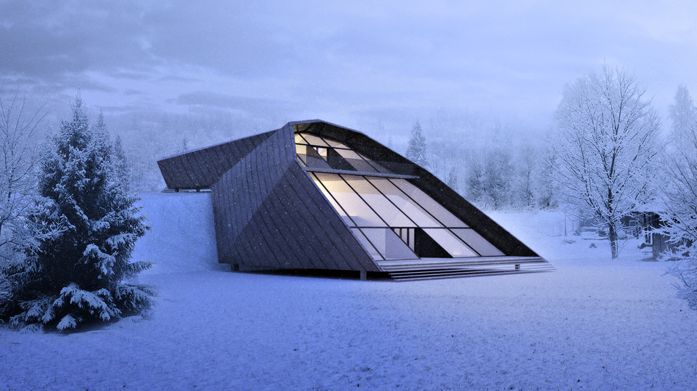 Виктор Мойсенко