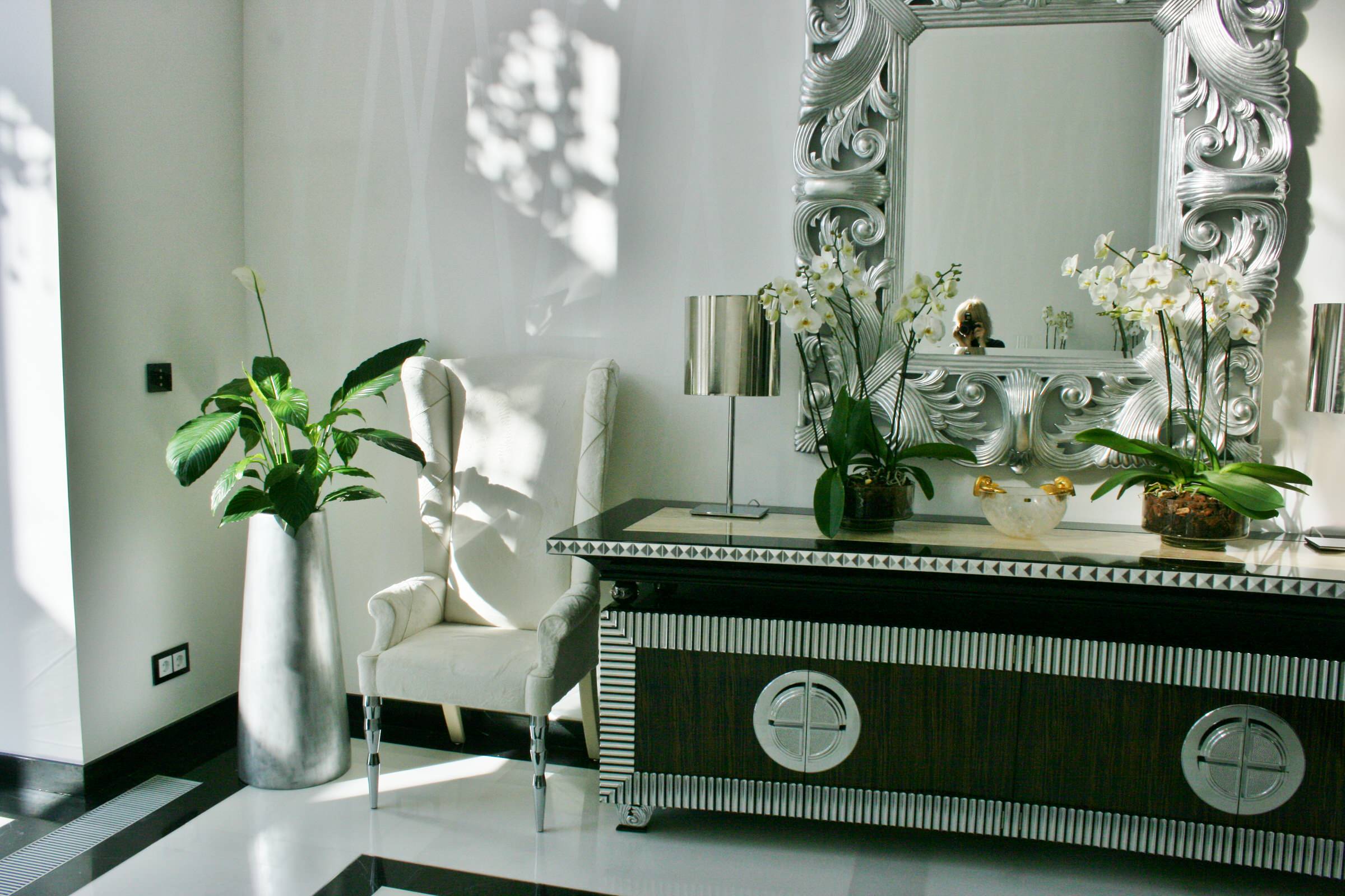 Обложка проекта: фитодизайн