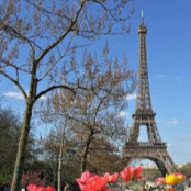 Татьяна Витровая