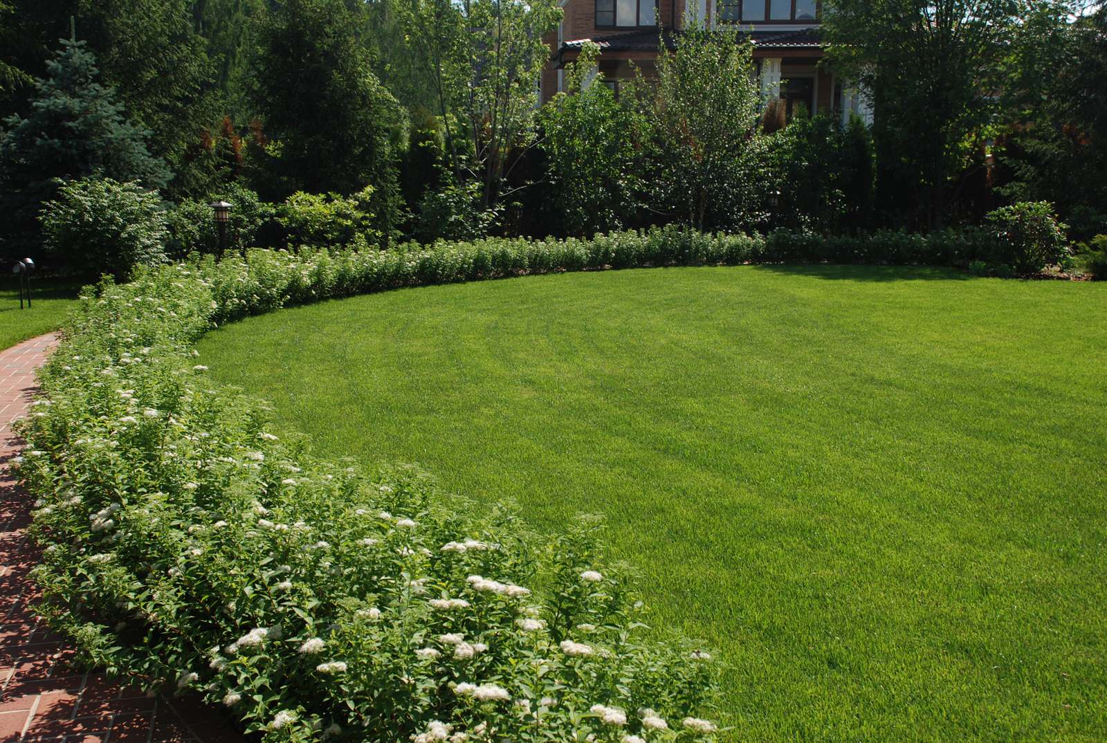 Сад в КП "Миллениум Парк"