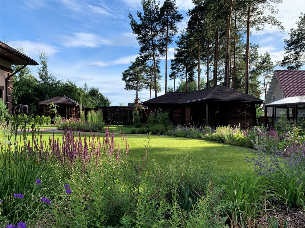 На солнечной поляне