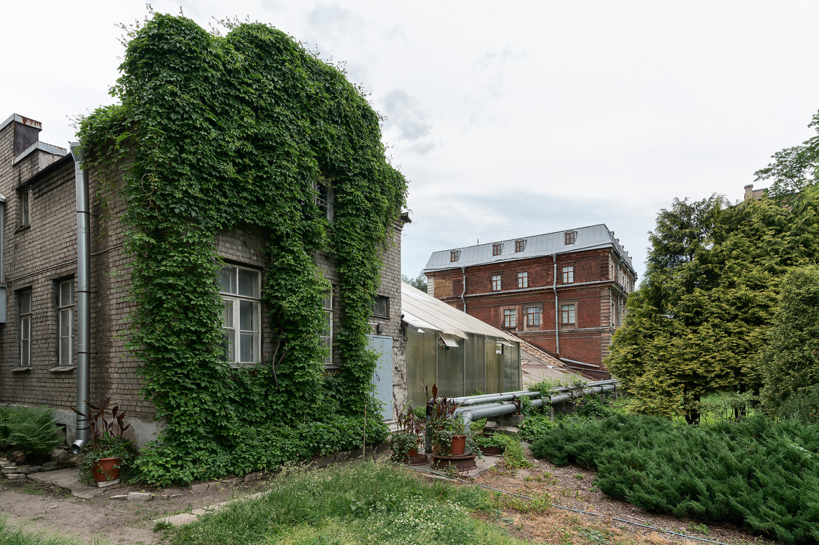 Ботанический сад в сердце Петербурга