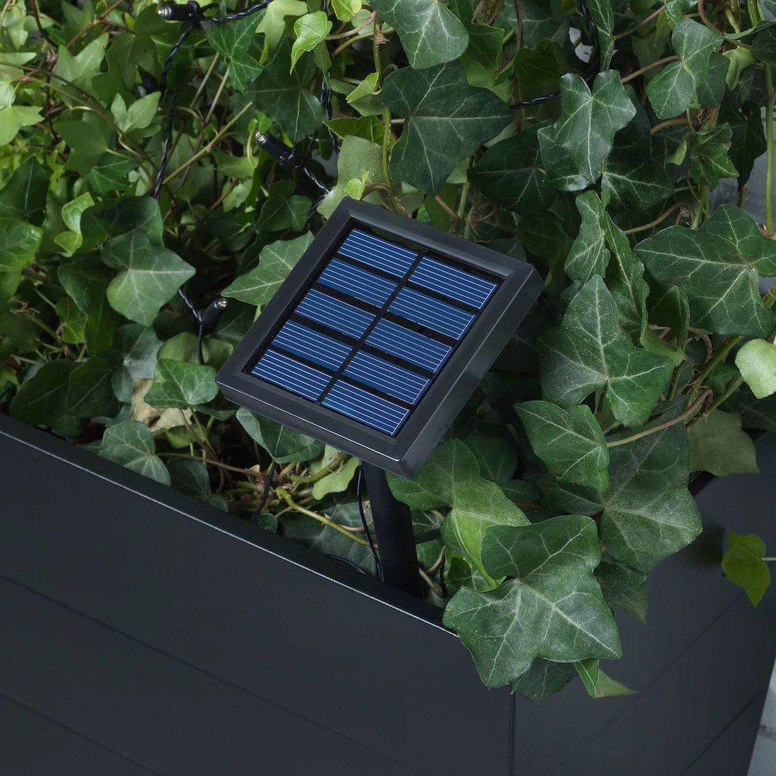 Совет недели (2/52): Повесить уличную гирлянду