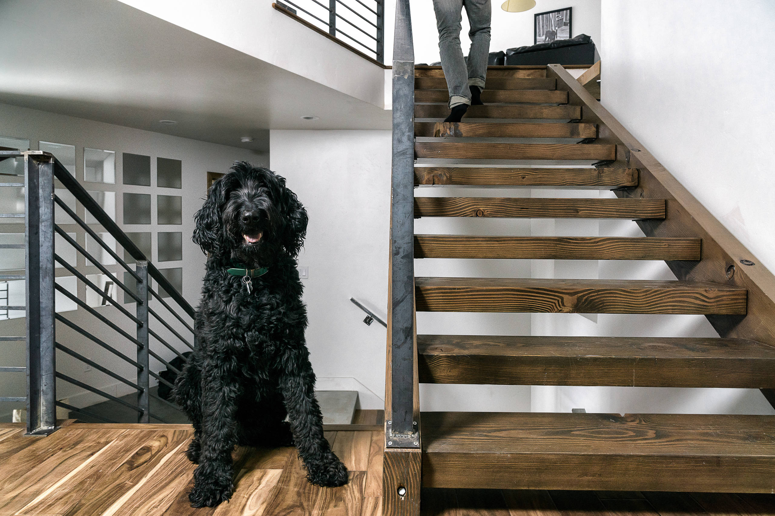 Houzz США: Эко-дом под небом Юты