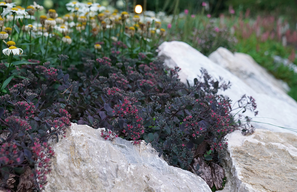 Мечта об Альпах. КП Вымпел