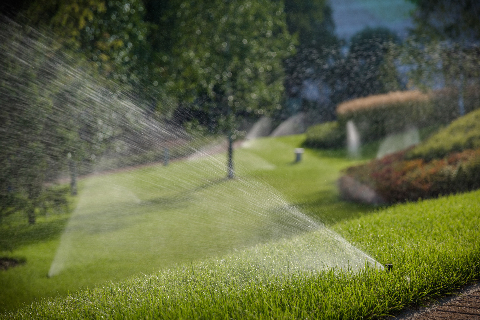 До чего дошел прогресс: Умные технологии в вашем саду