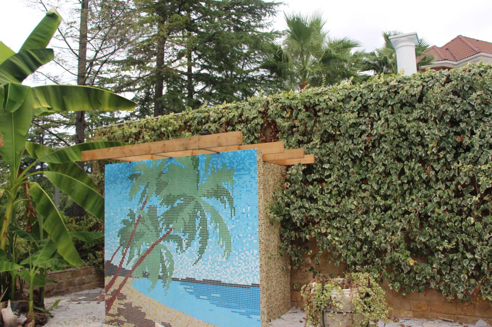 Фабрициуса