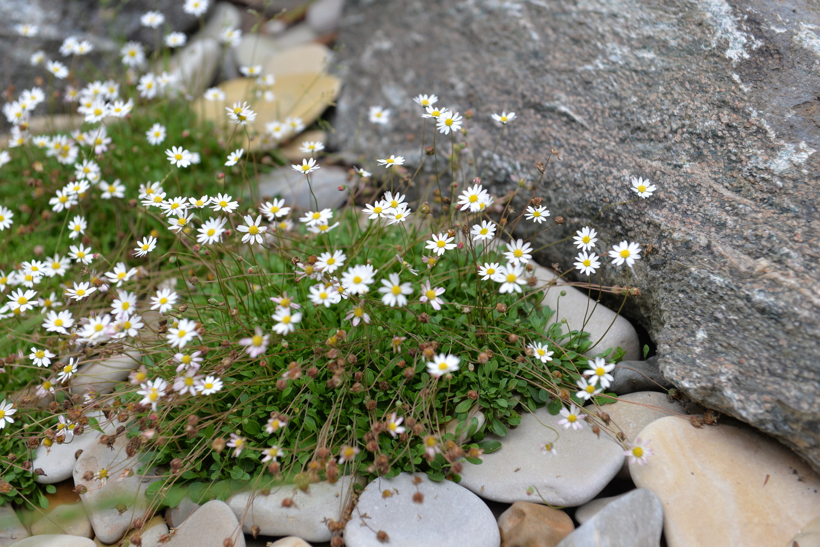 Детали и нюансы