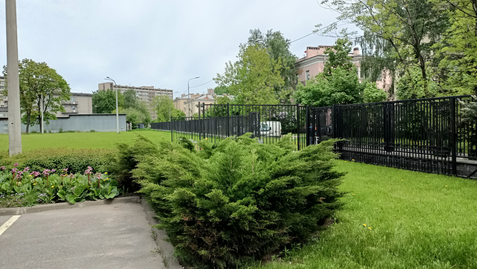 Городское озеленение .Территория производственного комплекса на Баррикадной