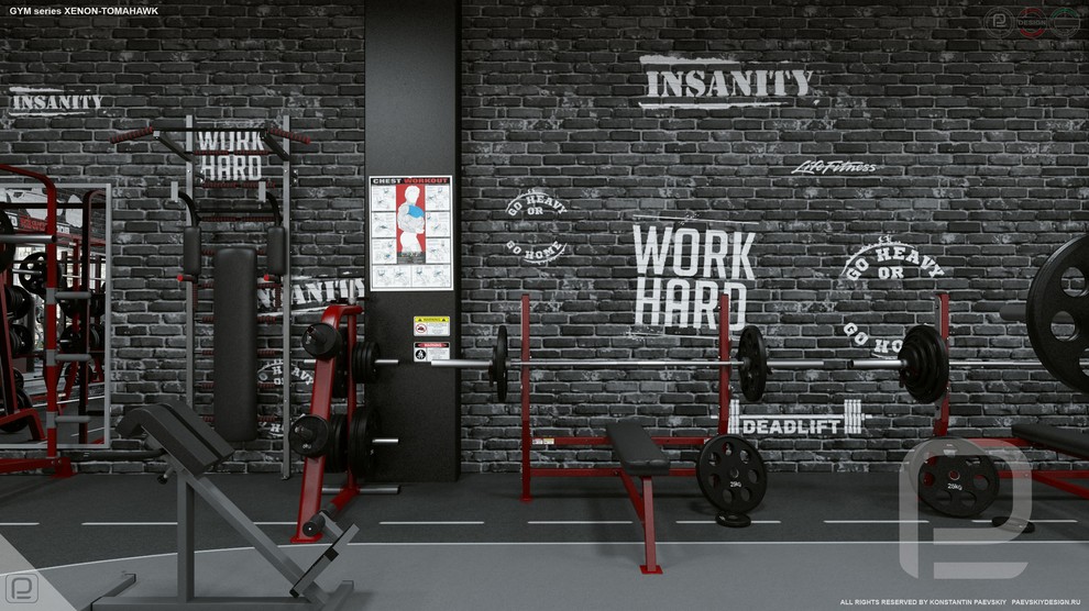 Тренажерный зал GYM series XENON-TOMAHAWK