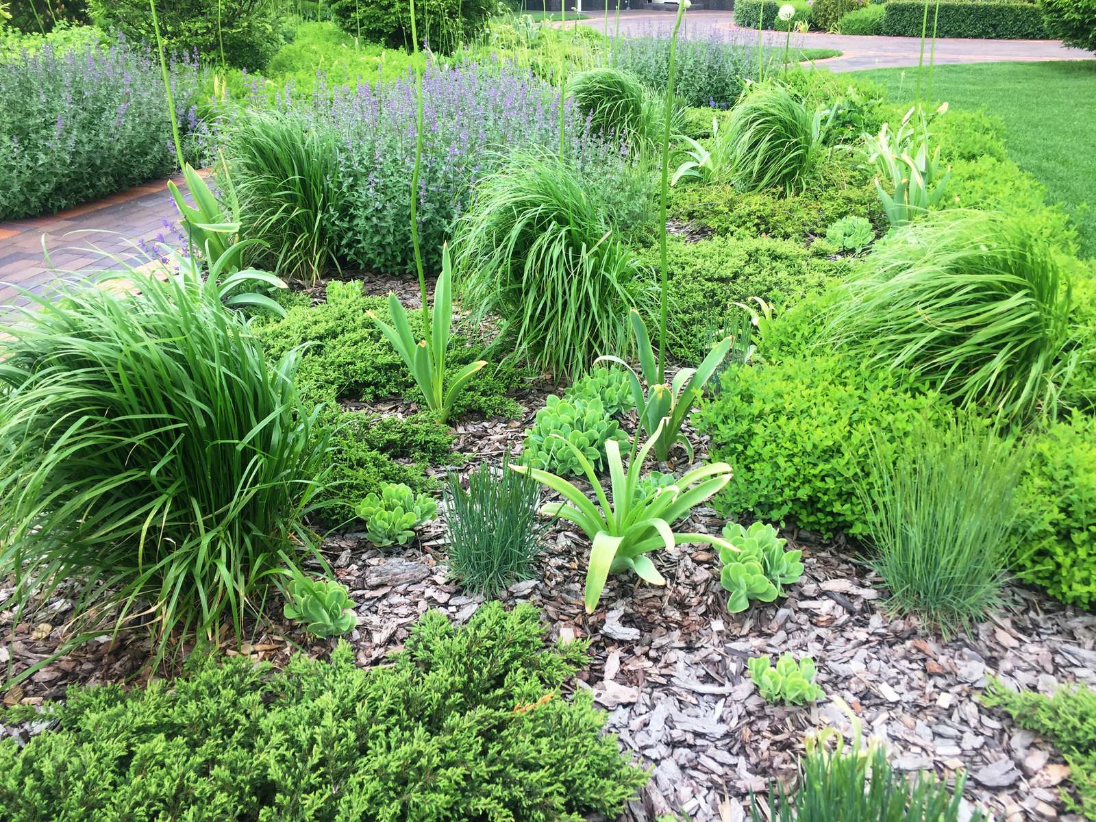 Холодное лето 2017